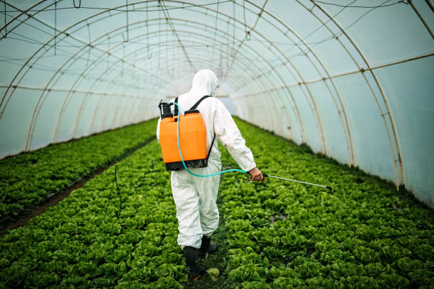 Best Pest Removal Services  in Swissvale, PA
