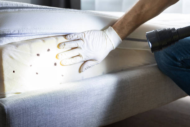 Best Insect Control  in Swissvale, PA